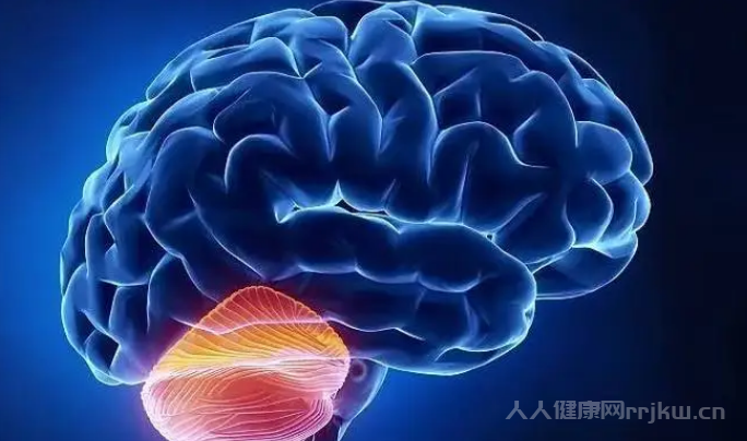 腦萎縮臨死前三個月表現