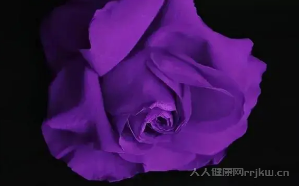女人喜歡紫色暗示什么