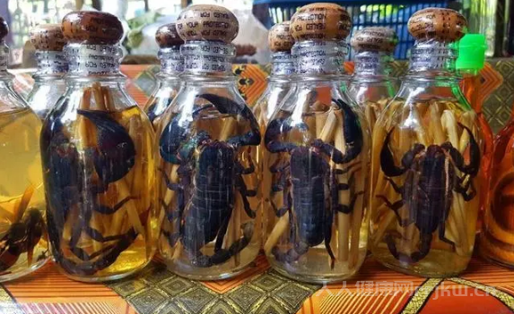 蜈蚣泡酒正確方法