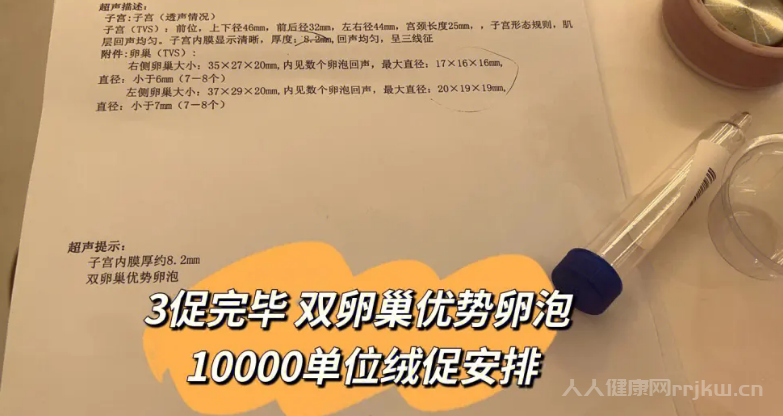 5個基礎卵泡最多可以促幾個