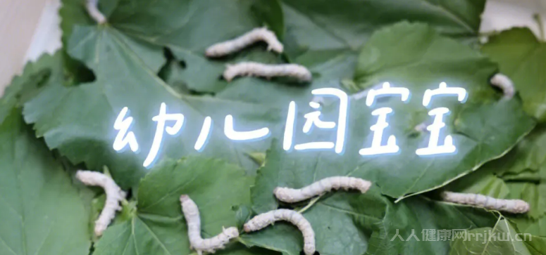 養蠶對人有哪些害處