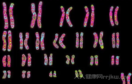 染色體變異的五種類型