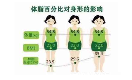 體重秤和體脂秤的區別