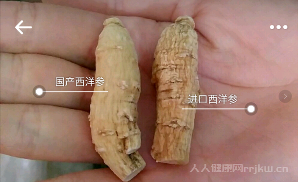 高麗參和西洋參的區別