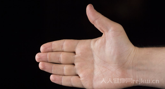 無名指比食指長代表什么