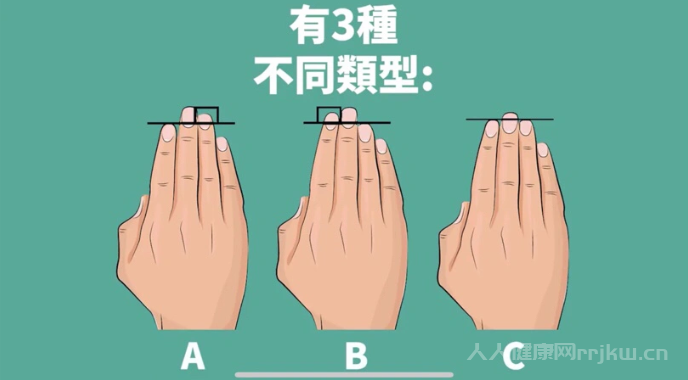 無名指長度比食指長什么意思