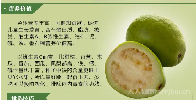 番石榴的功效與作用及禁忌