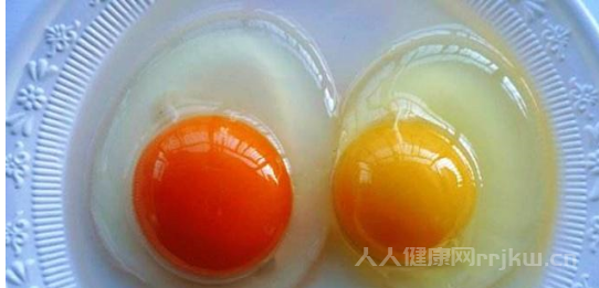 人造雞蛋和真雞蛋的區別
