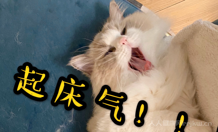 什么是起床氣,為什么早上喊孩子起床上學都生氣