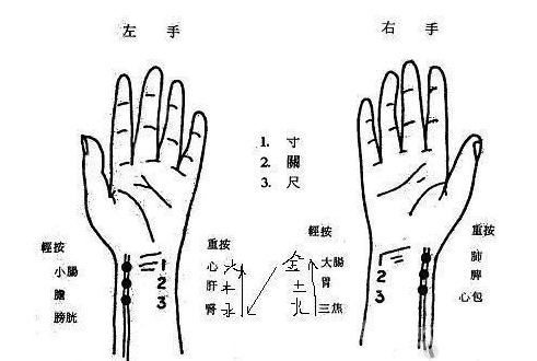 女生把脈能看出什么隱私