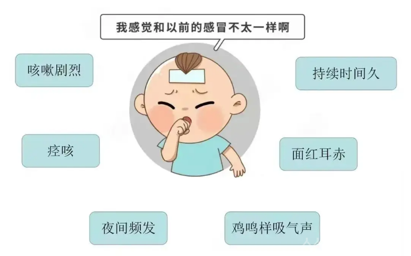 百日咳的癥狀都有哪些