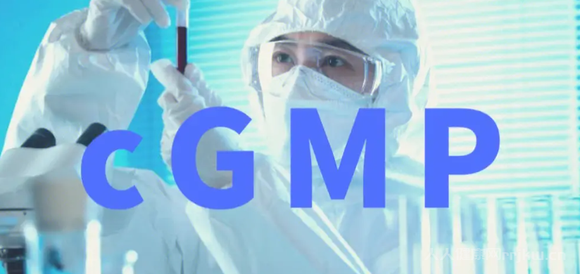 cgmp在醫學是什么意思