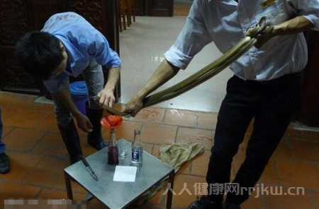 蛇血的功效與作用