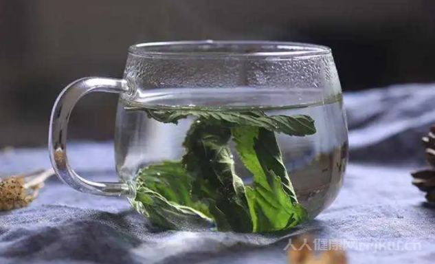 薄荷葉泡水用開水還是溫水