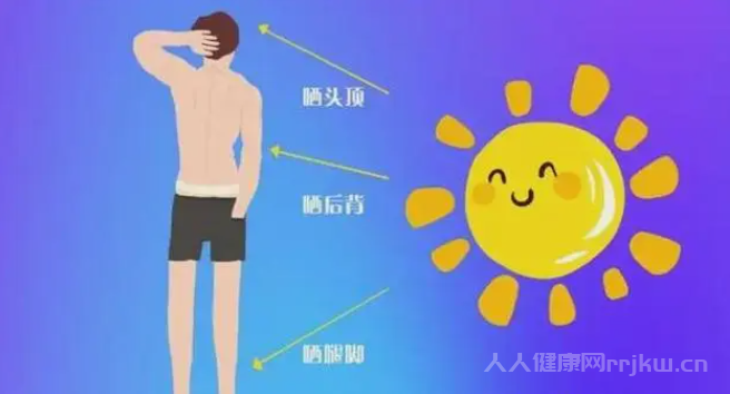 曬太陽的最佳部位是哪里
