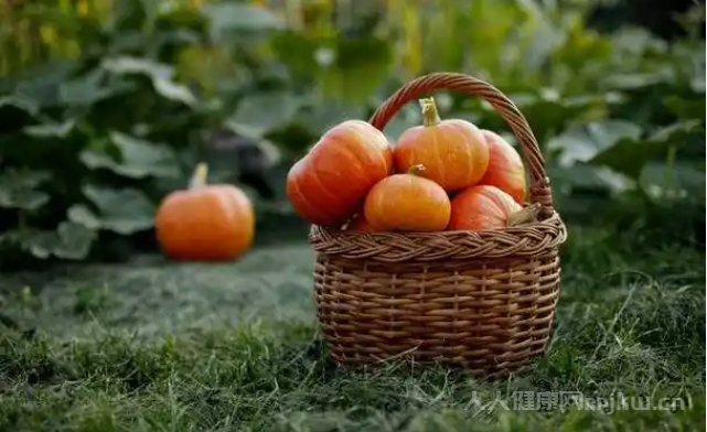 懷孕有三個月的時間了，孕婦南瓜能吃嗎？