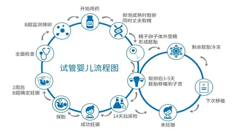 試管嬰兒的全部流程