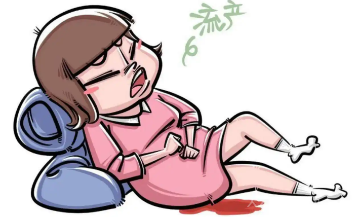 導致流產的食物有哪些,孕婦有哪些食物不能吃