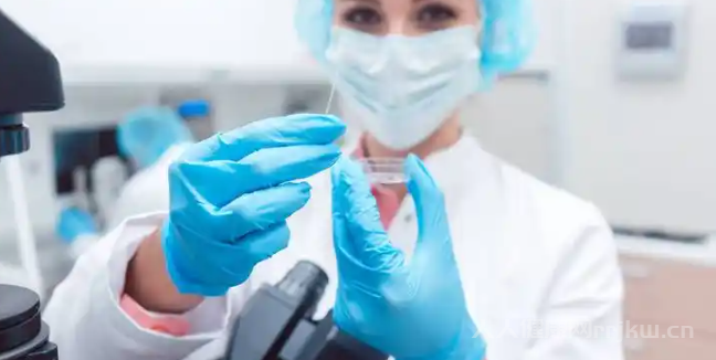 做試管的龍鳳胎是怎么形成的圖1