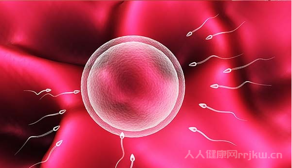 試管嬰兒的全部流程 到底如何能順利懷孕