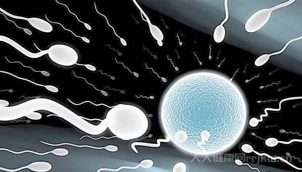 試管嬰兒的全部流程 到底如何能順利懷孕