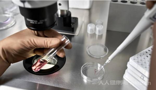 北京哪家試管嬰兒成功率高最好