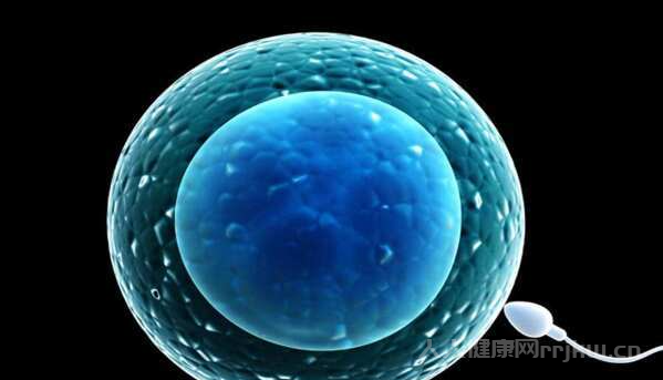 卵泡大小正常值是幾mmx幾mm,卵泡大小正常范圍是多少mm能懷孕嗎
