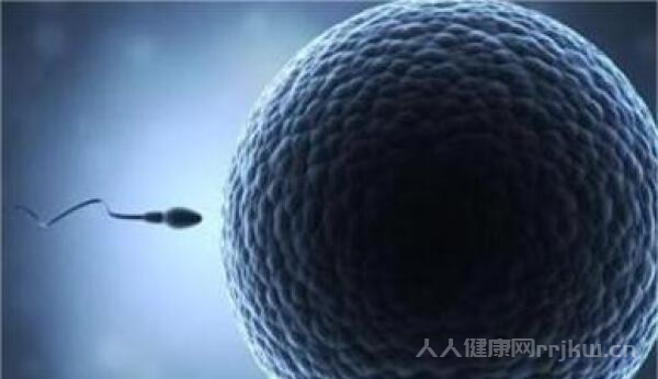 女性每個月會排出幾個成熟的卵泡？