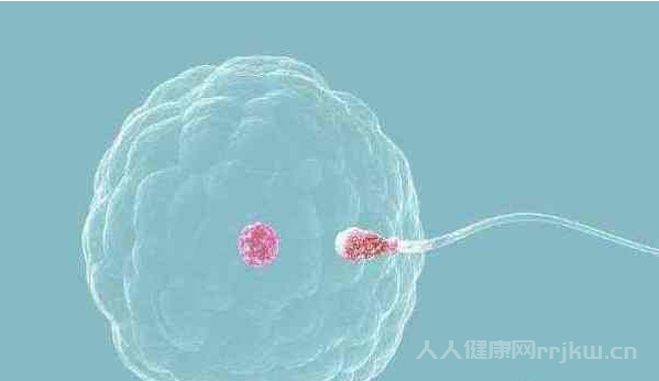 女性每個(gè)月會排出幾個(gè)成熟的卵泡？
