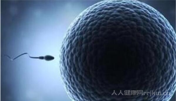 生活中可以通過哪些方式監(jiān)測排卵？